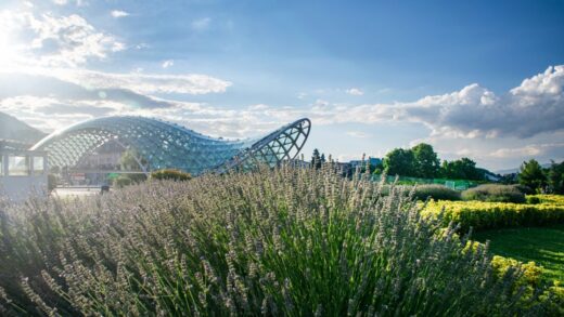 Biophilic design w filharmonii: jak natura wpływa na odbiór muzyki